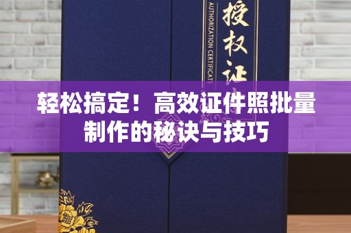 全国轻松搞定！高效证件照批量制作的秘诀与技巧