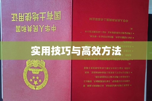 全国实用技巧与高效方法