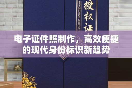 全国电子证件照制作，高效便捷的现代身份标识新趋势