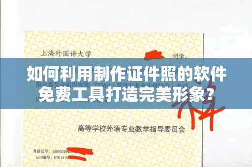 全国如何利用制作证件照的软件免费工具打造完美形象？